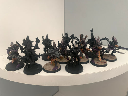 12 x Kabalite Warriors