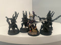 5 x Incubi