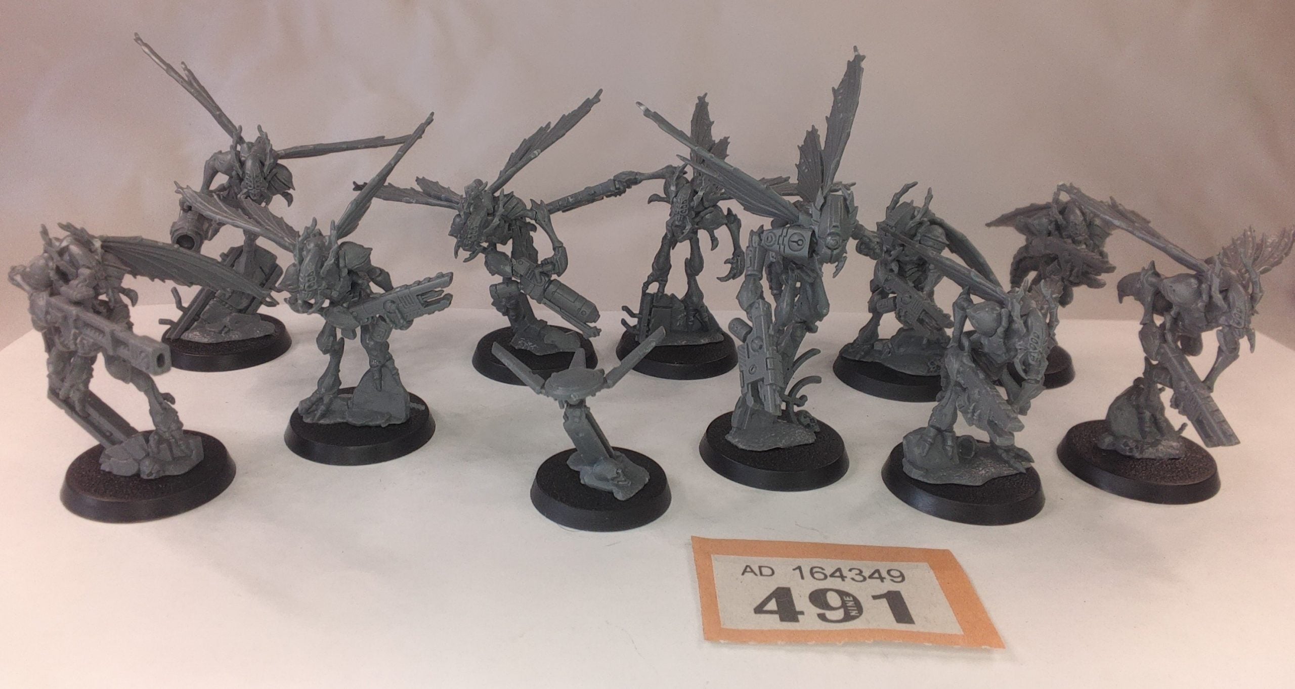 Vespid Stingwings (built)