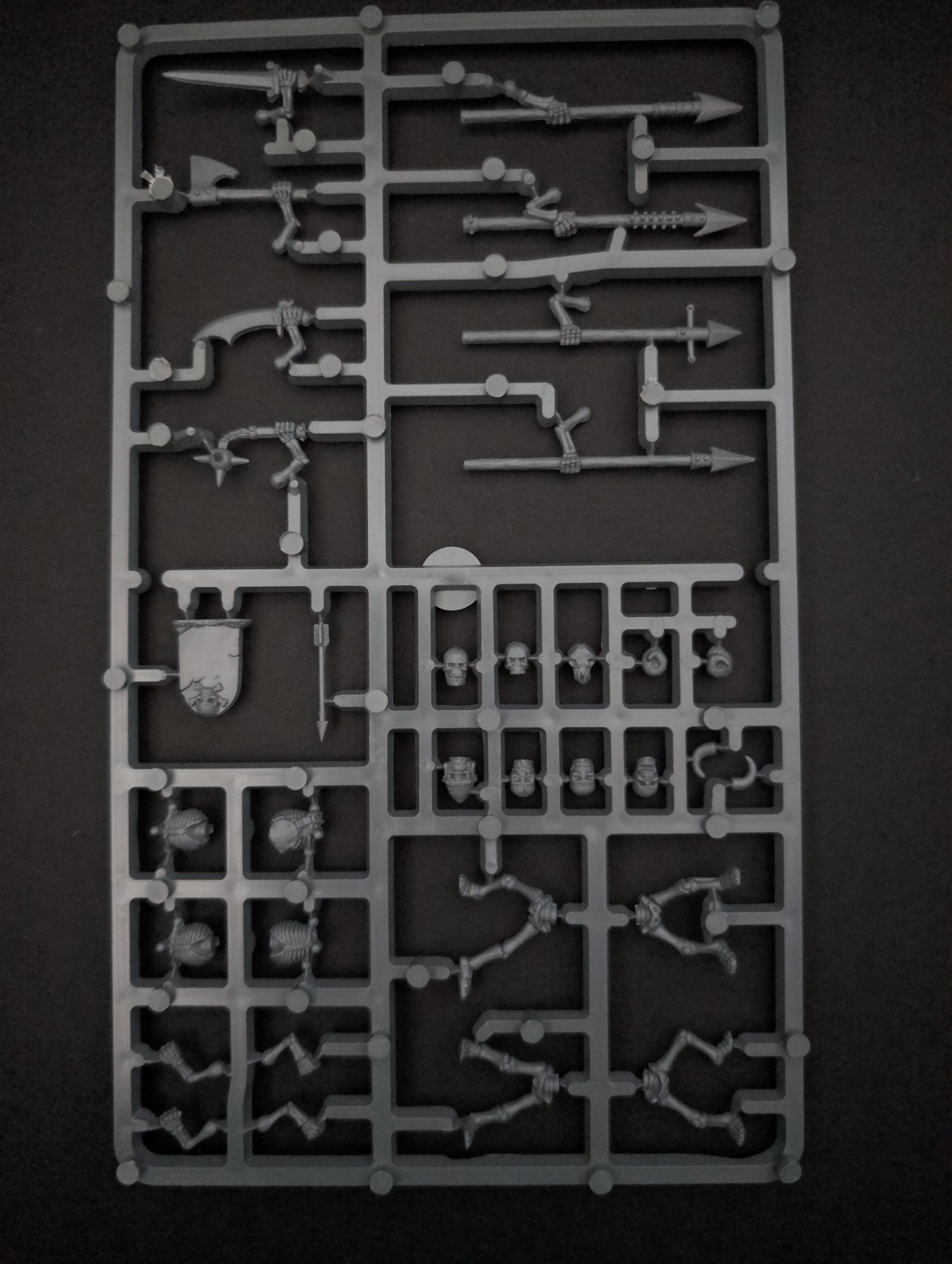 4 x Skeleton Warriors (1 Sprue)