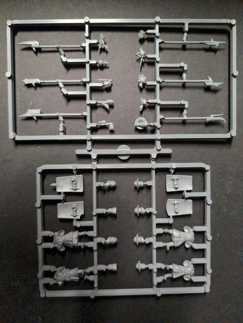 4 x Bretonnian Men-at-Arms on Sprue