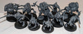 Warcry: Royal Beastflayers (Built)