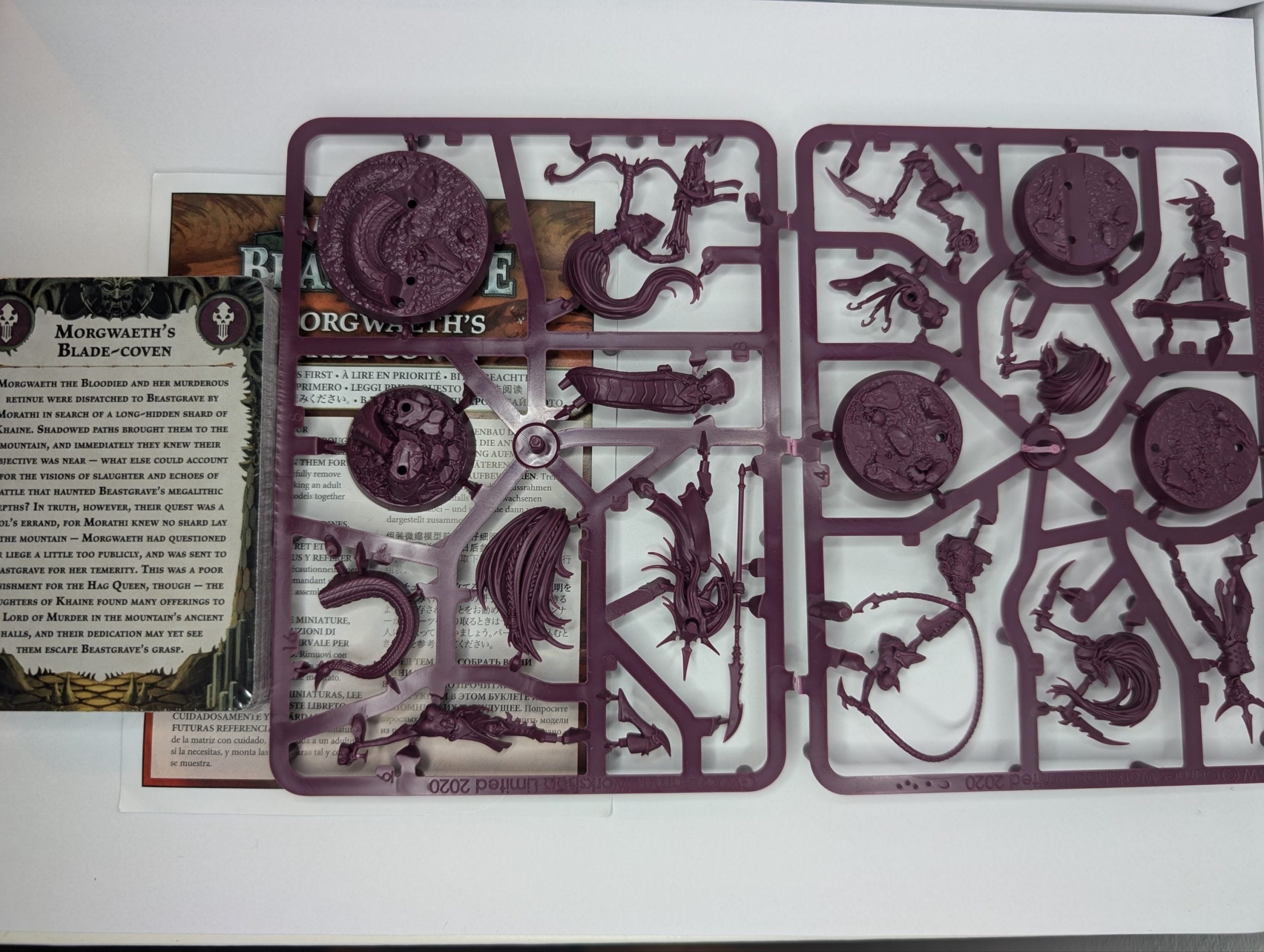 Morgwaeth's Blade Coven (With Cards)