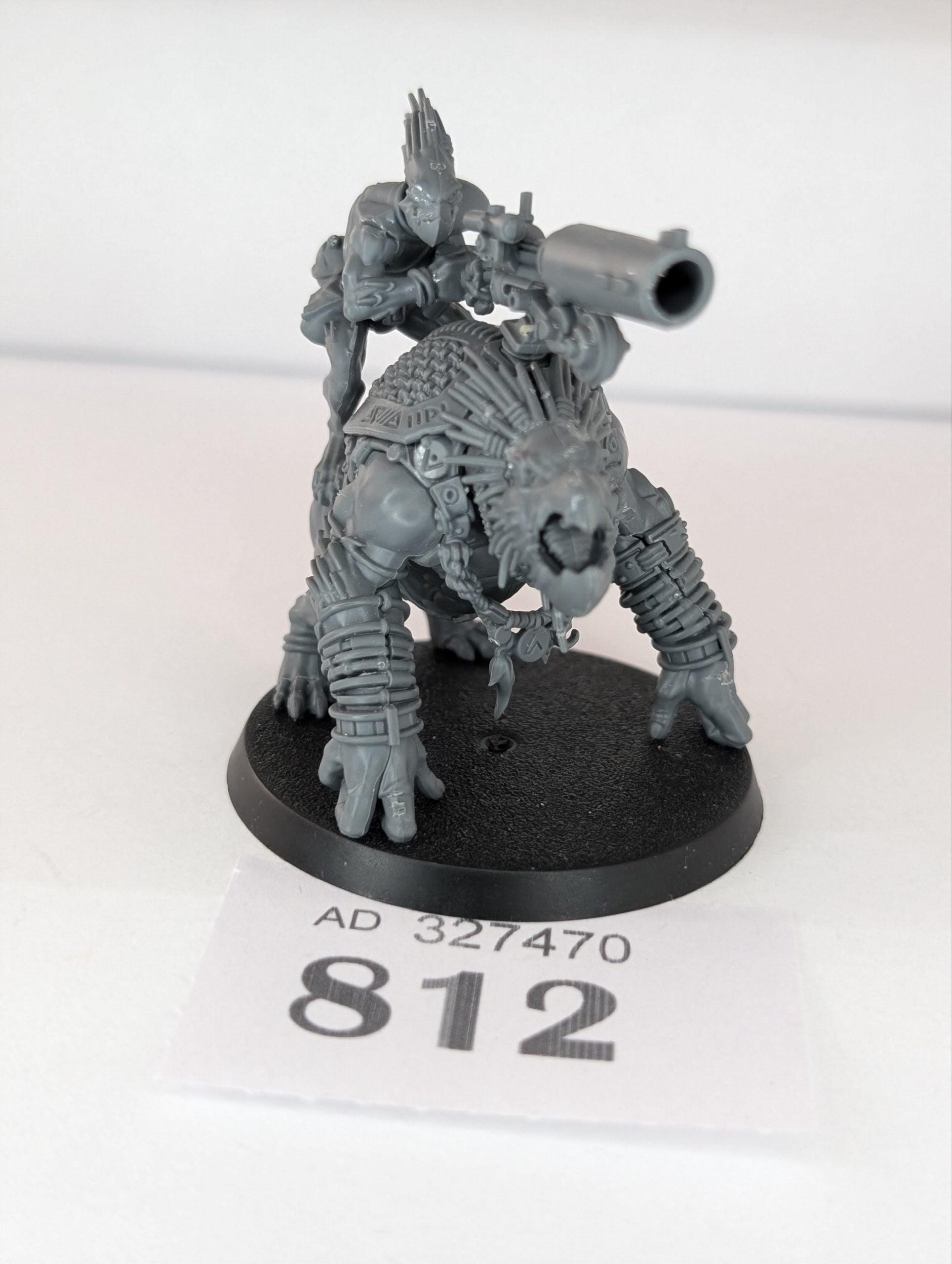 Krootox Rider (Built)