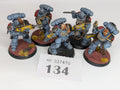 5 Grey Hunters