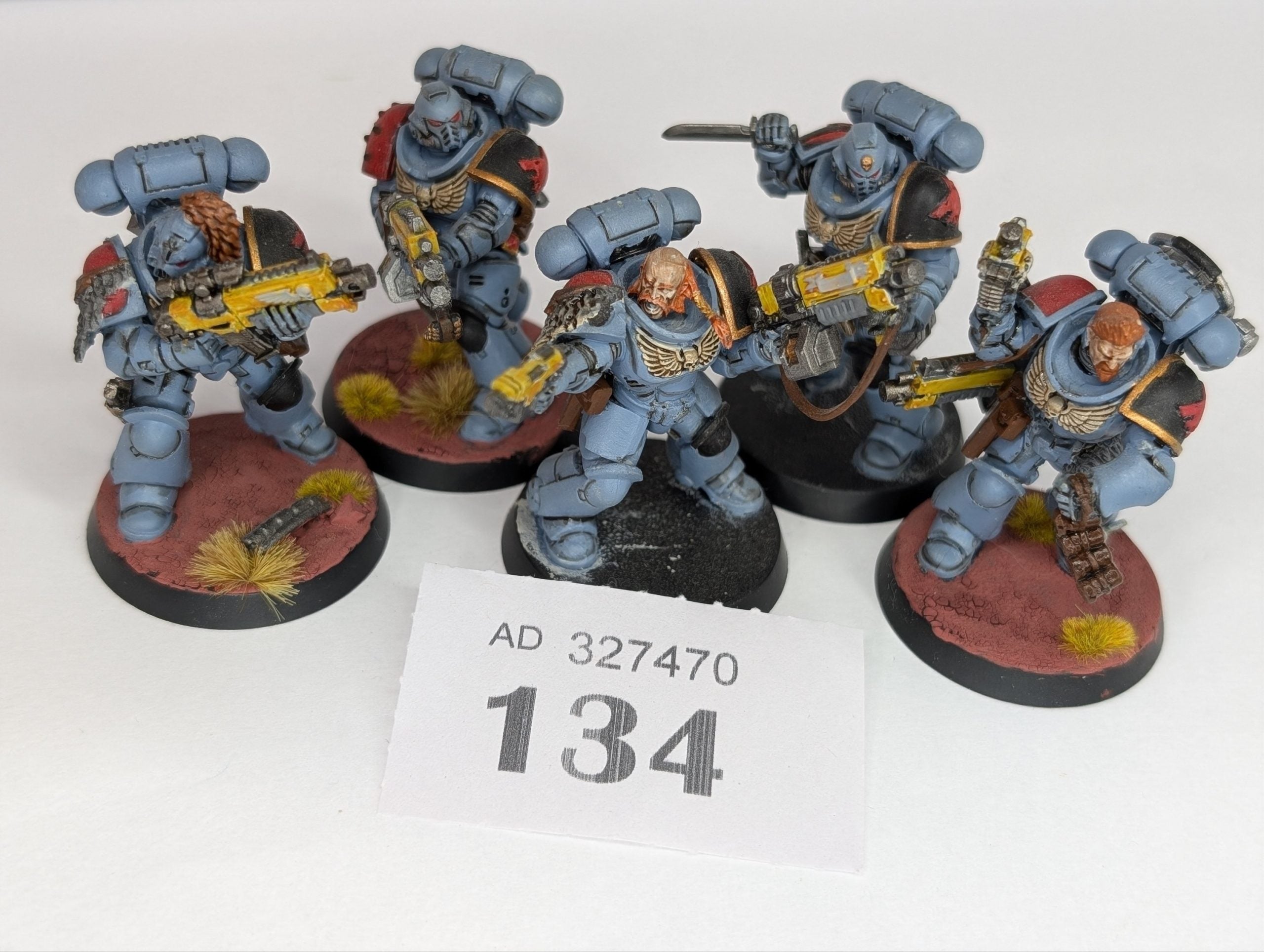 5 Grey Hunters