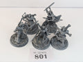 5 x Vigilors