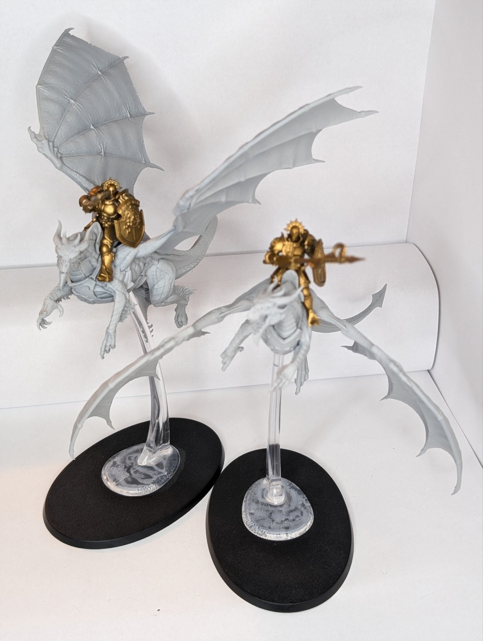 Stormdrake Guard