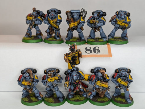 10 Man Tactical Space Wolf Squad