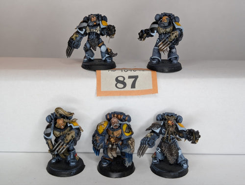 5 x Space Wolf Assault Intercessors (1st Born)