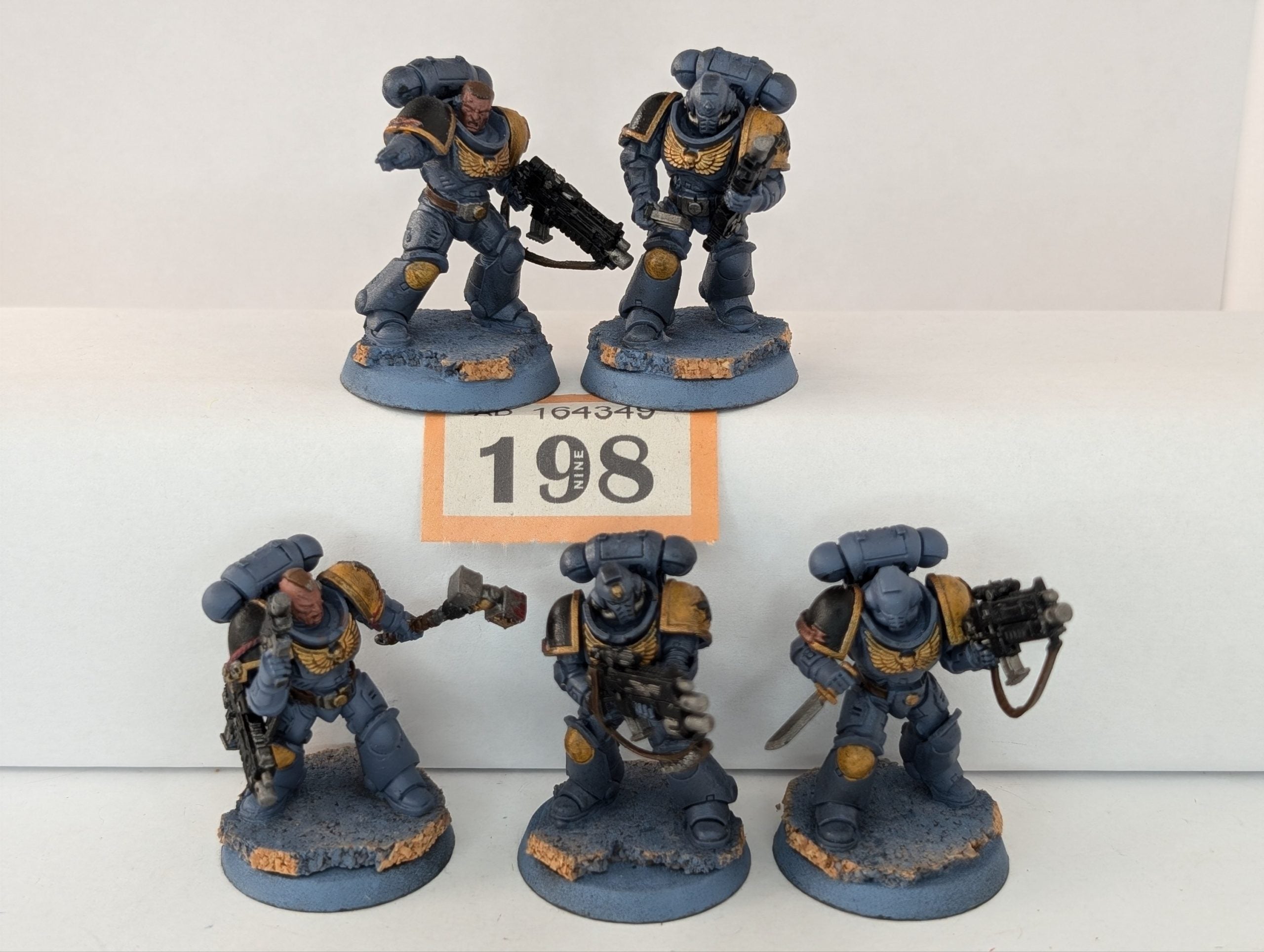 Space Wolf Primaris Intercessors