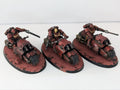 Blood Angel Outrider Squad