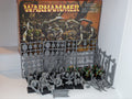Orc Warriors Regiment with old box
