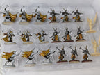 Baratheon Starter Set (Mostly untouched, some painted)