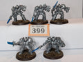 Grey Knights Brothood Terminator Squad