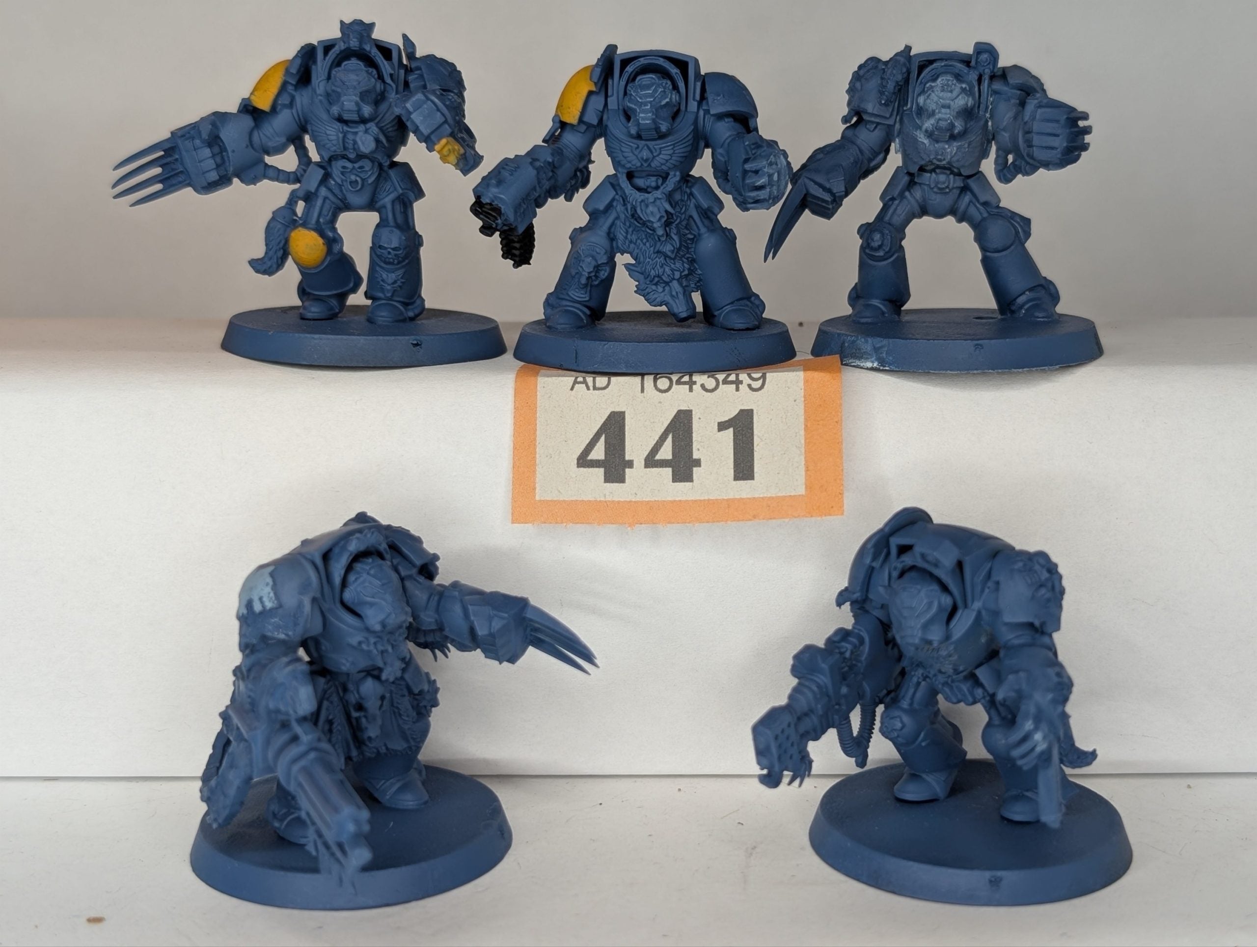 Space Wolf Terminator Squad