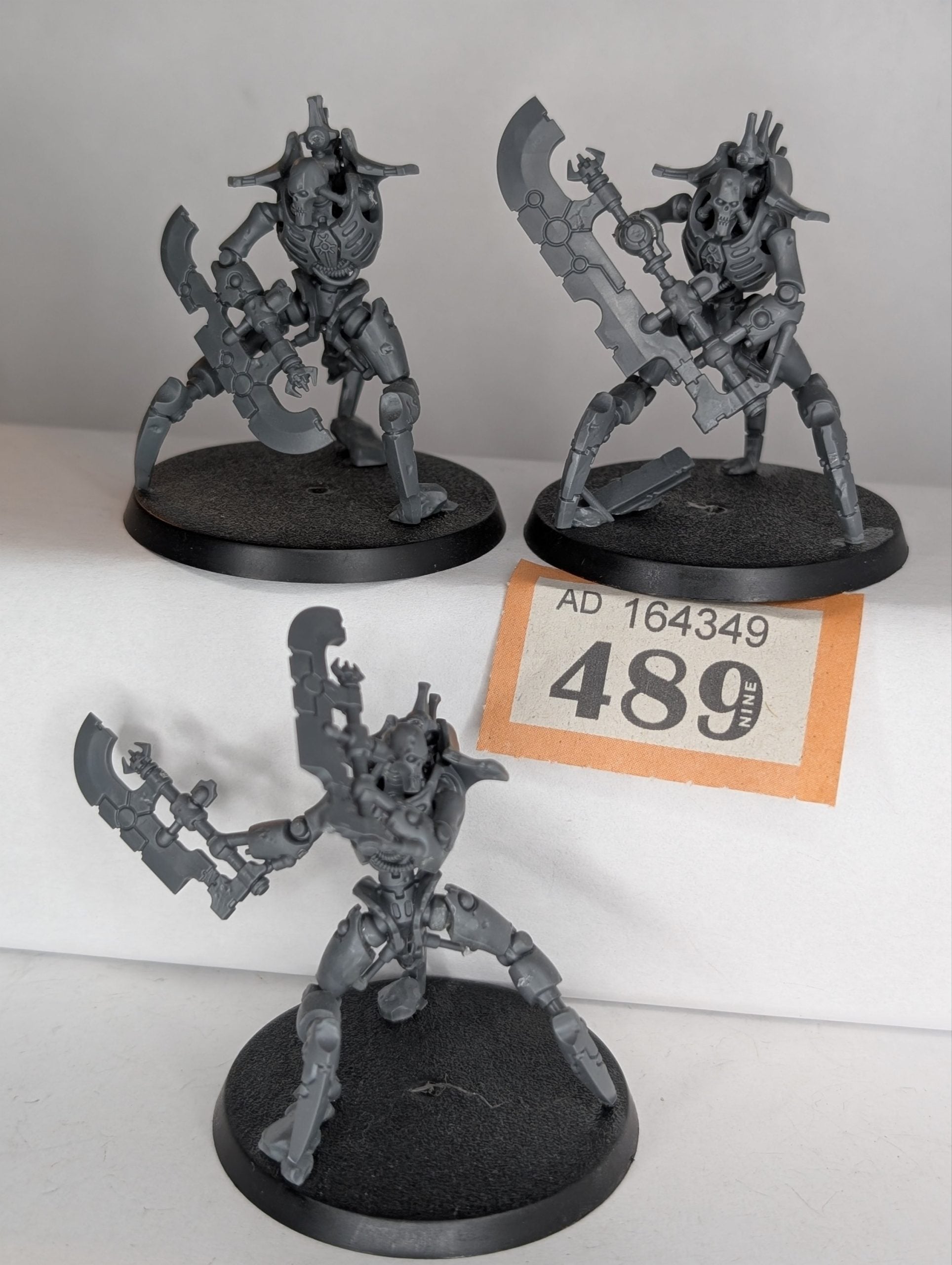 Skerpekh Destroyers (missing 1 left arm)