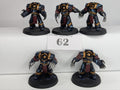 5 x Cataphractii Terminators