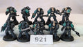 Sons of Horus Squad