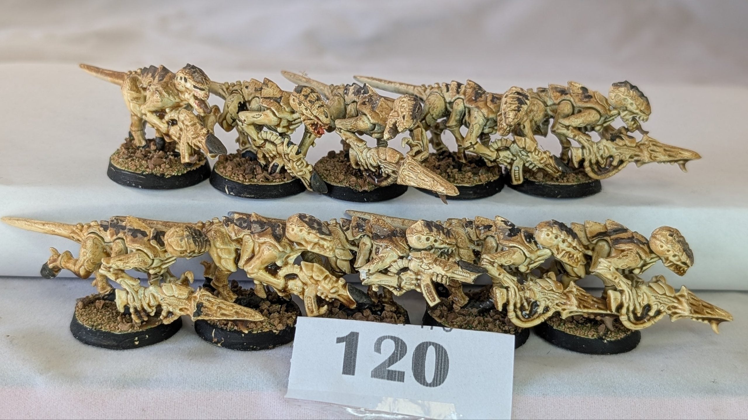 Termagant Brood