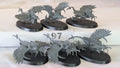 6x Raptoryx