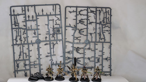 10 x Kabalite Warriors