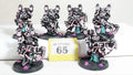 Noise Marines Y65
