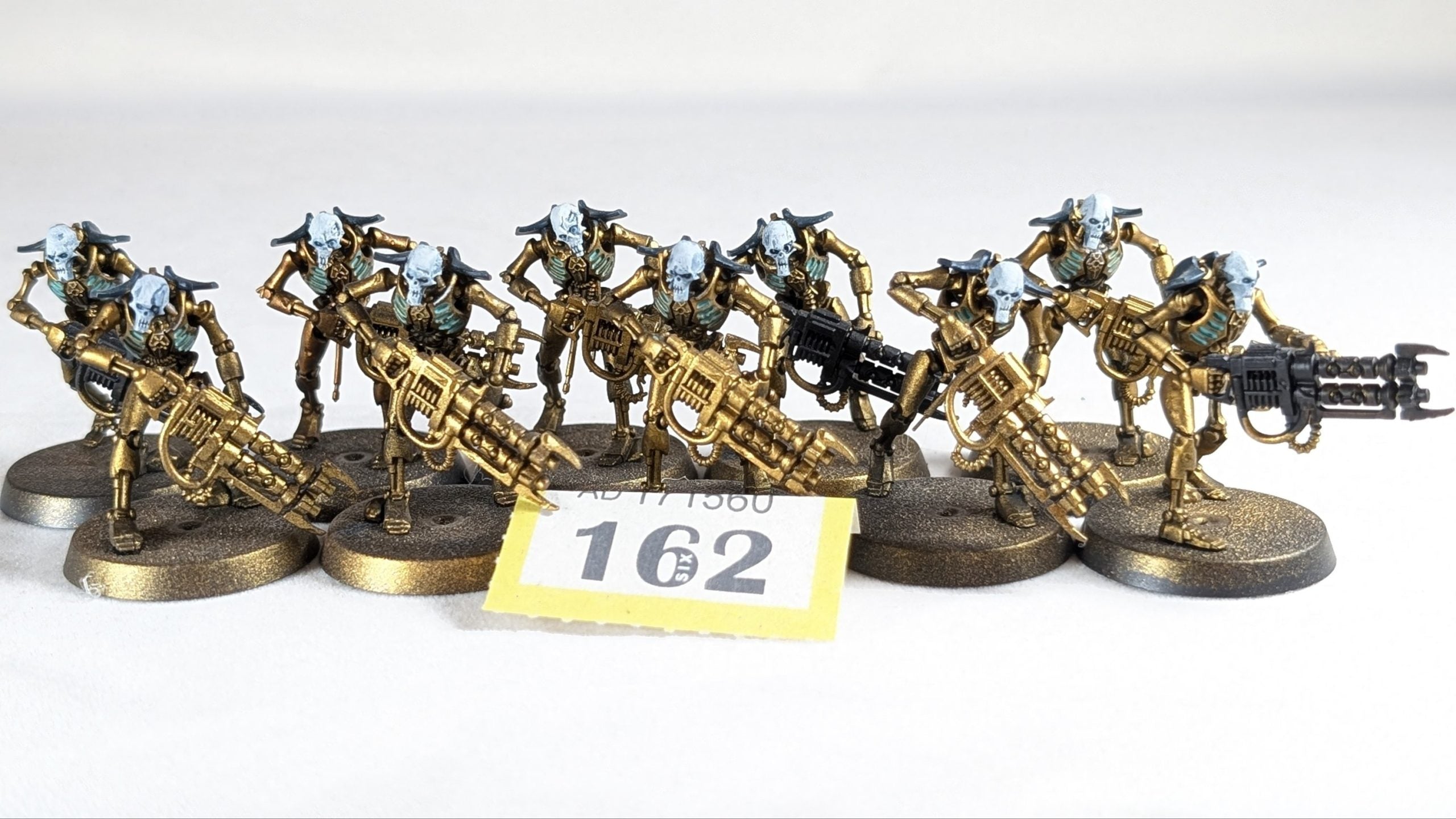 10 Necron Warriors (Built)