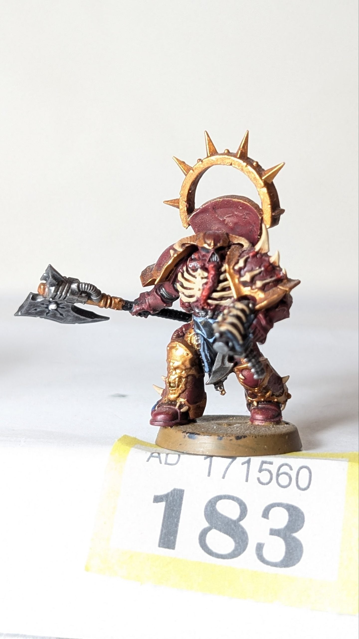 Chosen Champion Draznicht