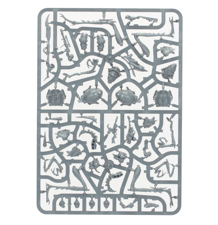 Ash Waste Nomads dustback helamites