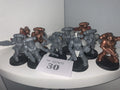 10 x Assault Intercessors (Minotaur Chapter)