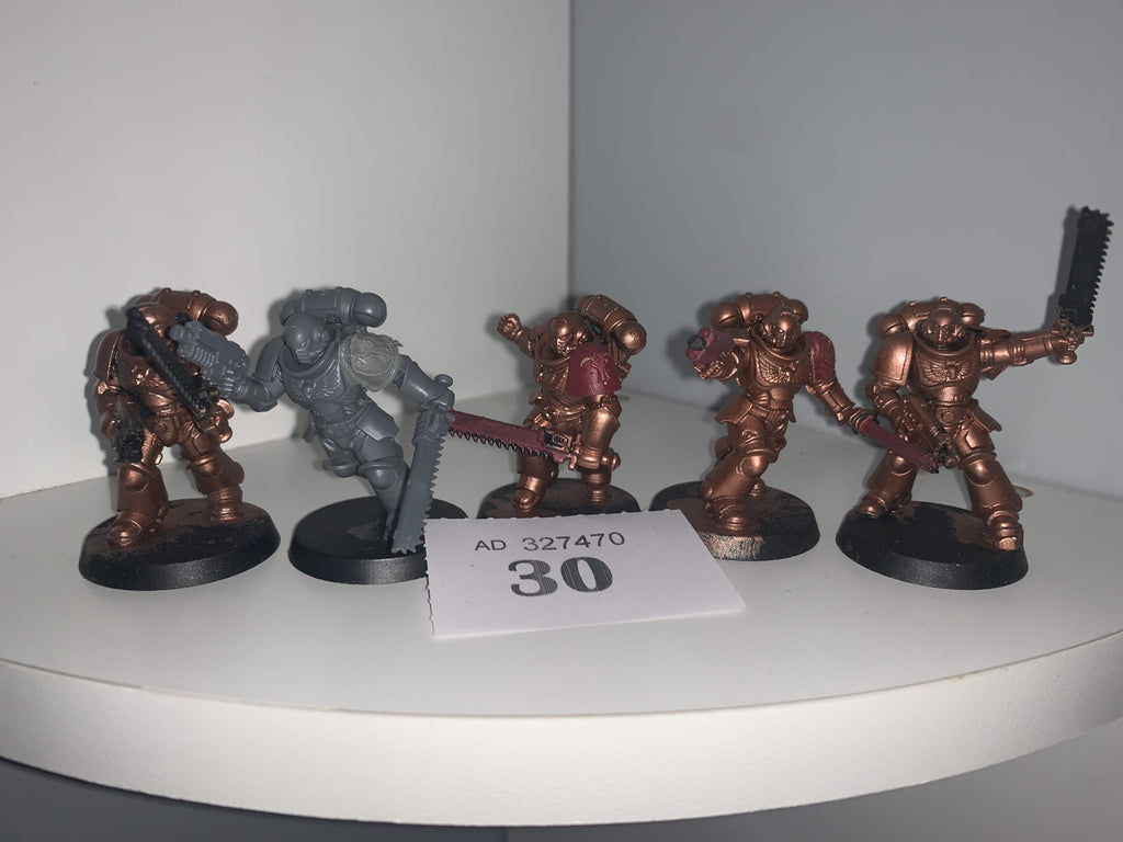 10 x Assault Intercessors (Minotaur Chapter)