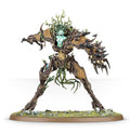 Drycha Hamadreth on Sprue