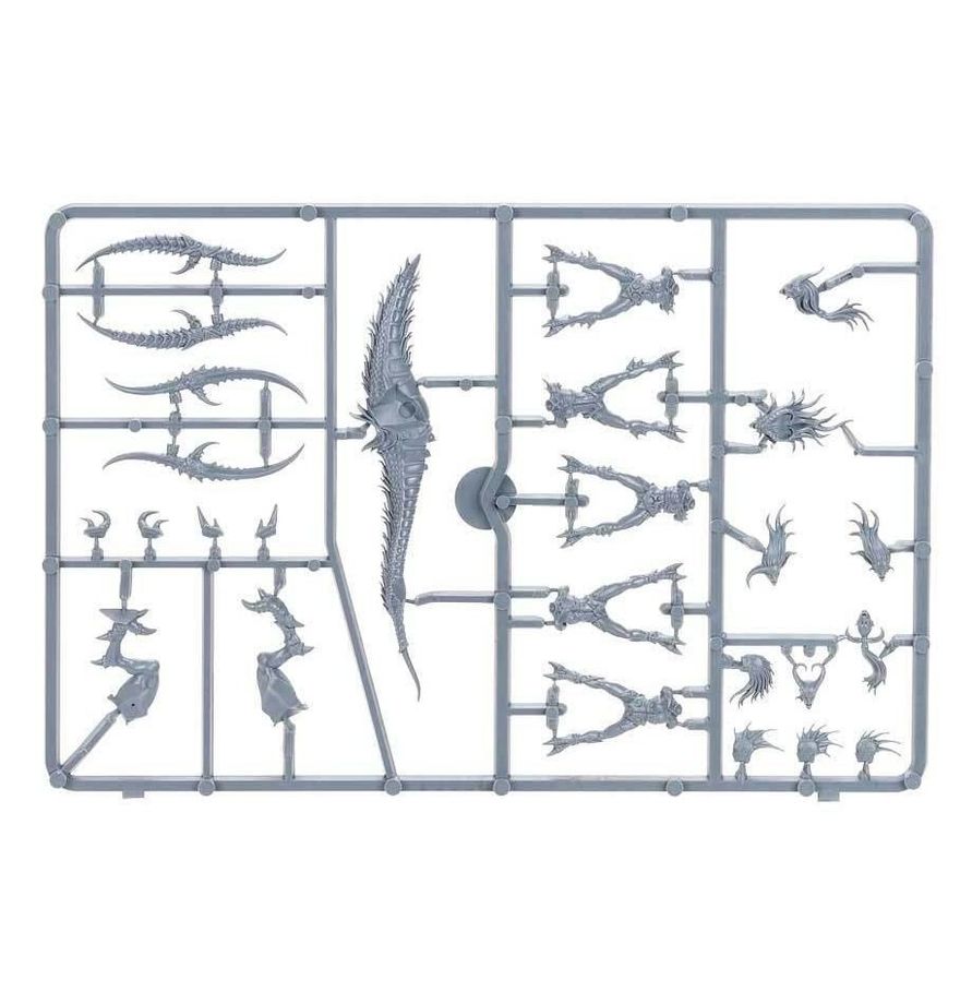 Seekers of Slaanesh (New On Sprue)
