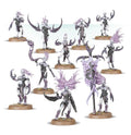 Daemonettes of Slaanesh (new in box)