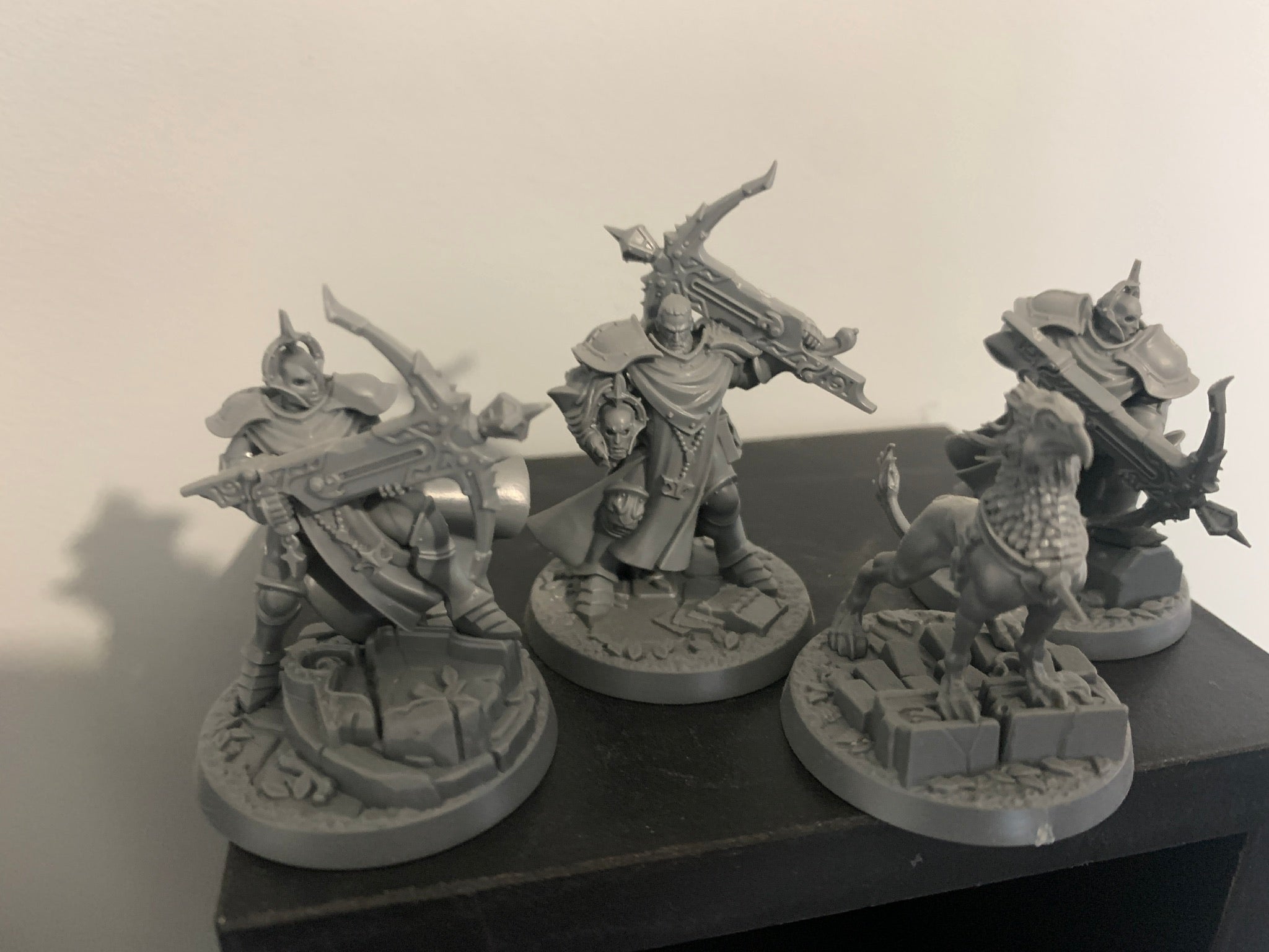Castigators with Gryph-hound