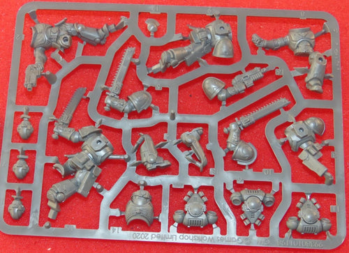 Assault Intercessors