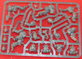 Assault Intercessors
