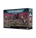 Death Guard Battleforce: Vile Vectrorum