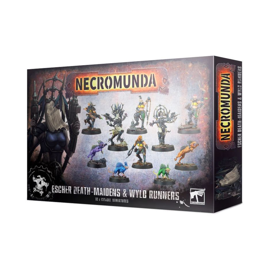 EscherDMWR
