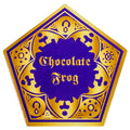 Harry Potter Chocolate Frog Coaster