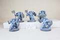 Wolf Guard Terminators