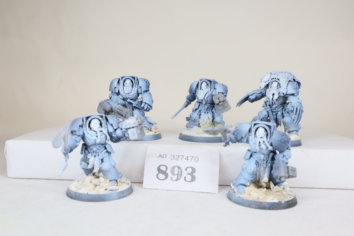 Wolf Guard Terminators