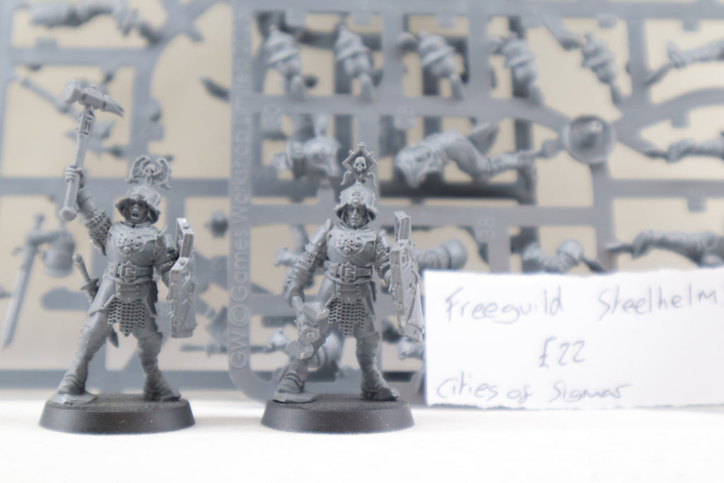 Freeguild Steelhelms (Part-Built)