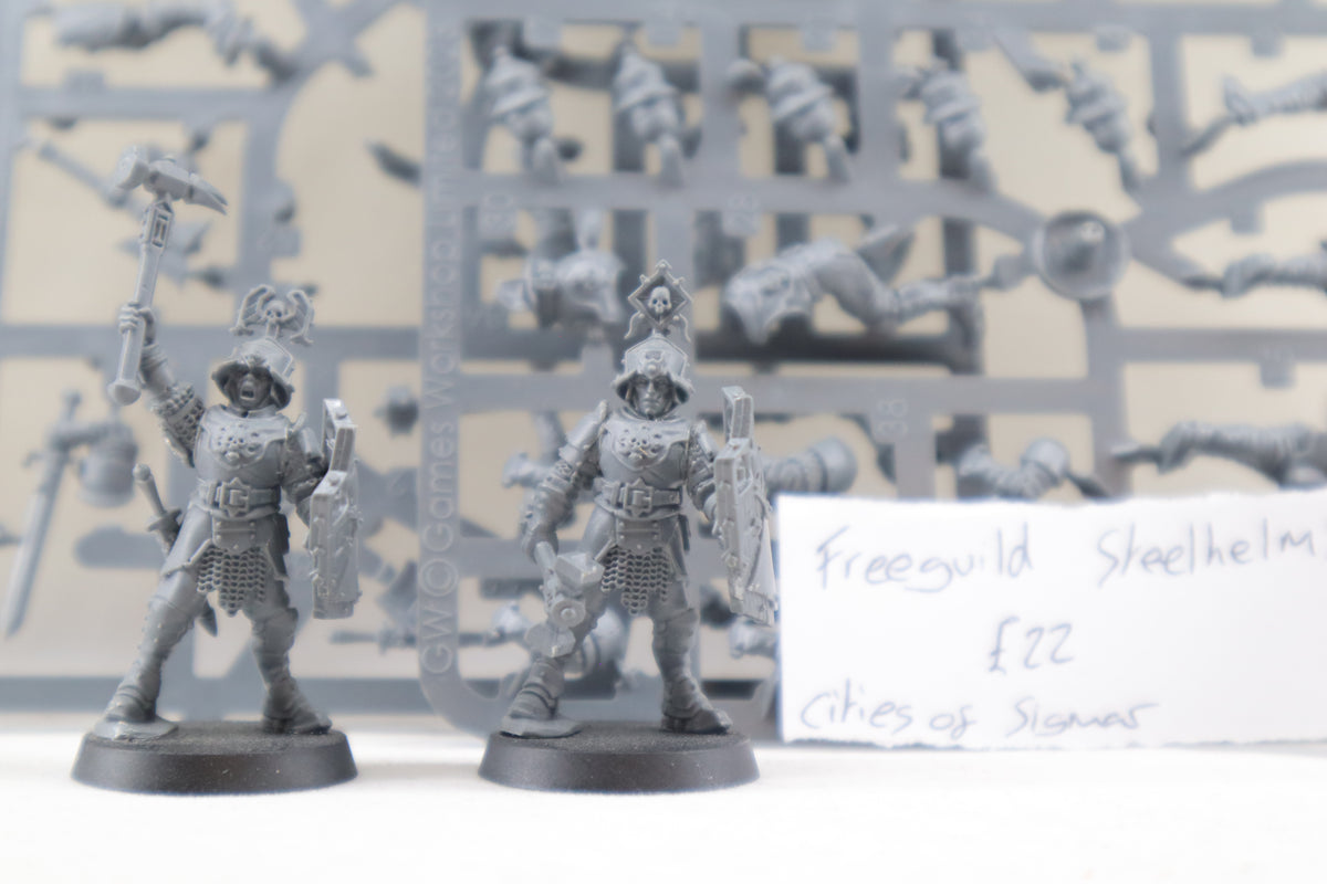 Freeguild Steelhelms (Part-Built)