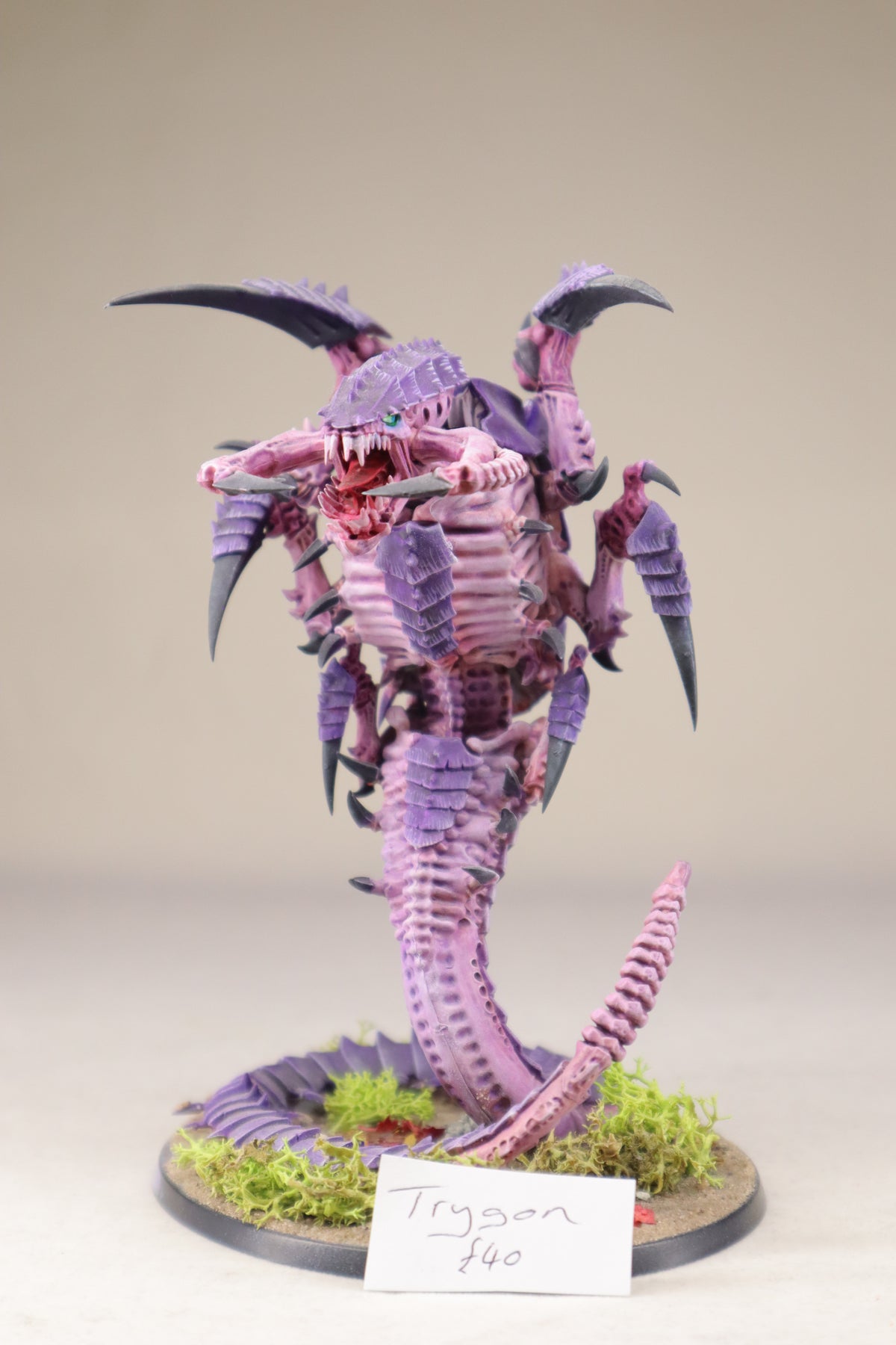 Trygon