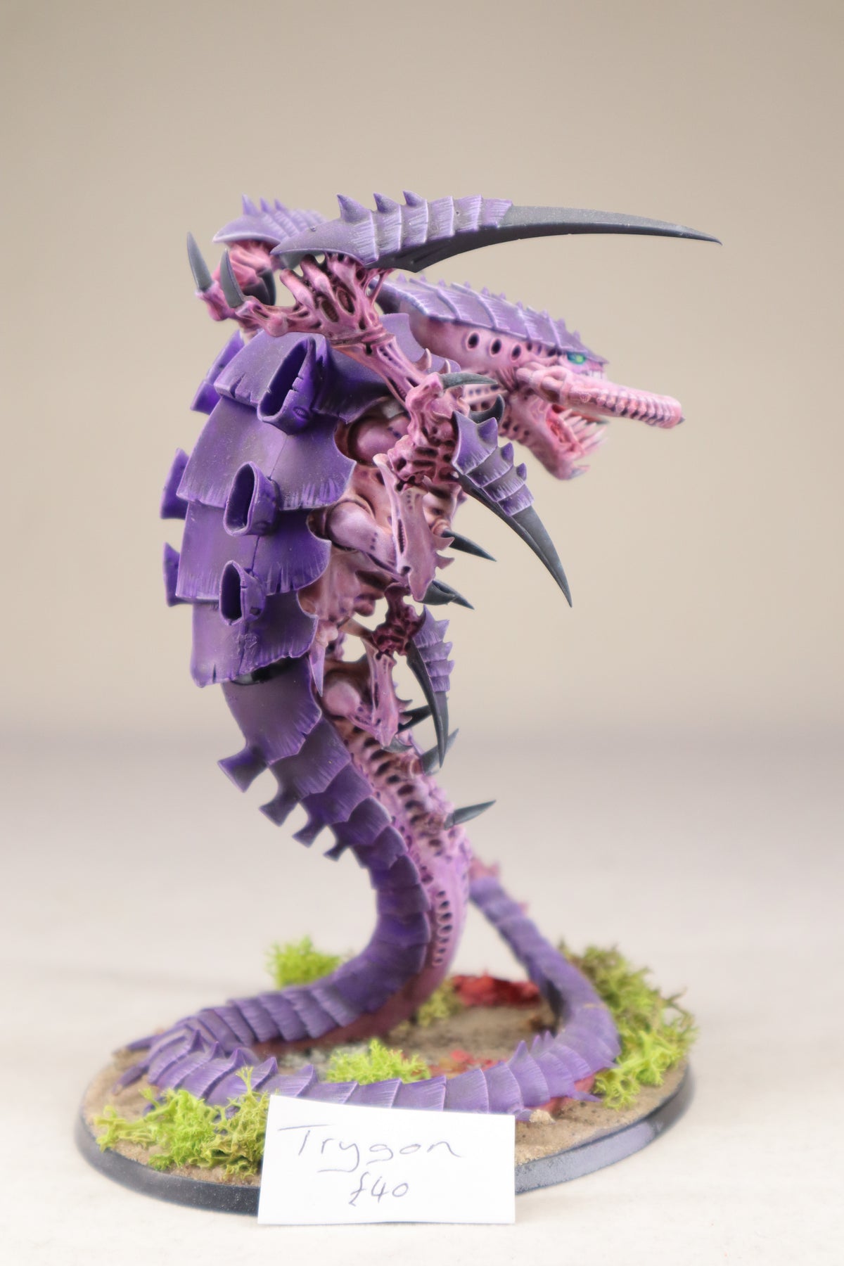 Trygon