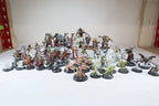 Warhammer Quest: Cursed City (Models built and painted)