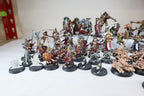 Warhammer Quest: Cursed City (Models built and painted)