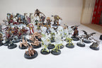 Warhammer Quest: Cursed City (Models built and painted)